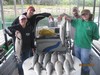 (09/06/2014) - Nice Striped Bass